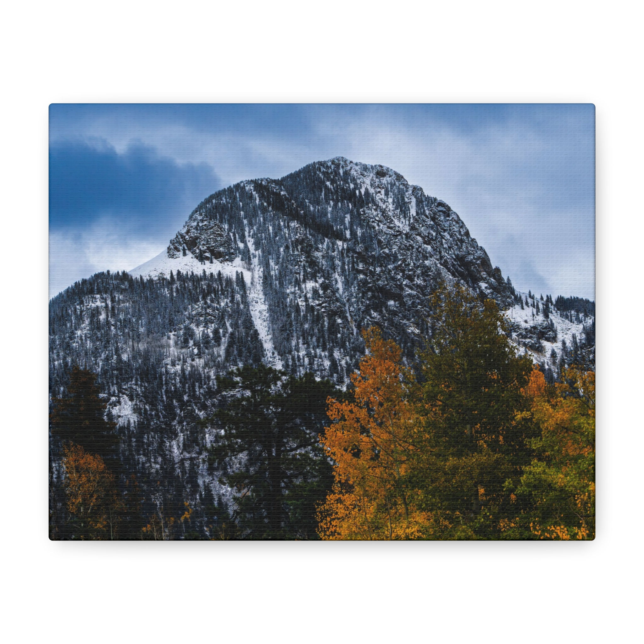 Seasonal Symphony, Matte Canvas, Stretched, 1.25"