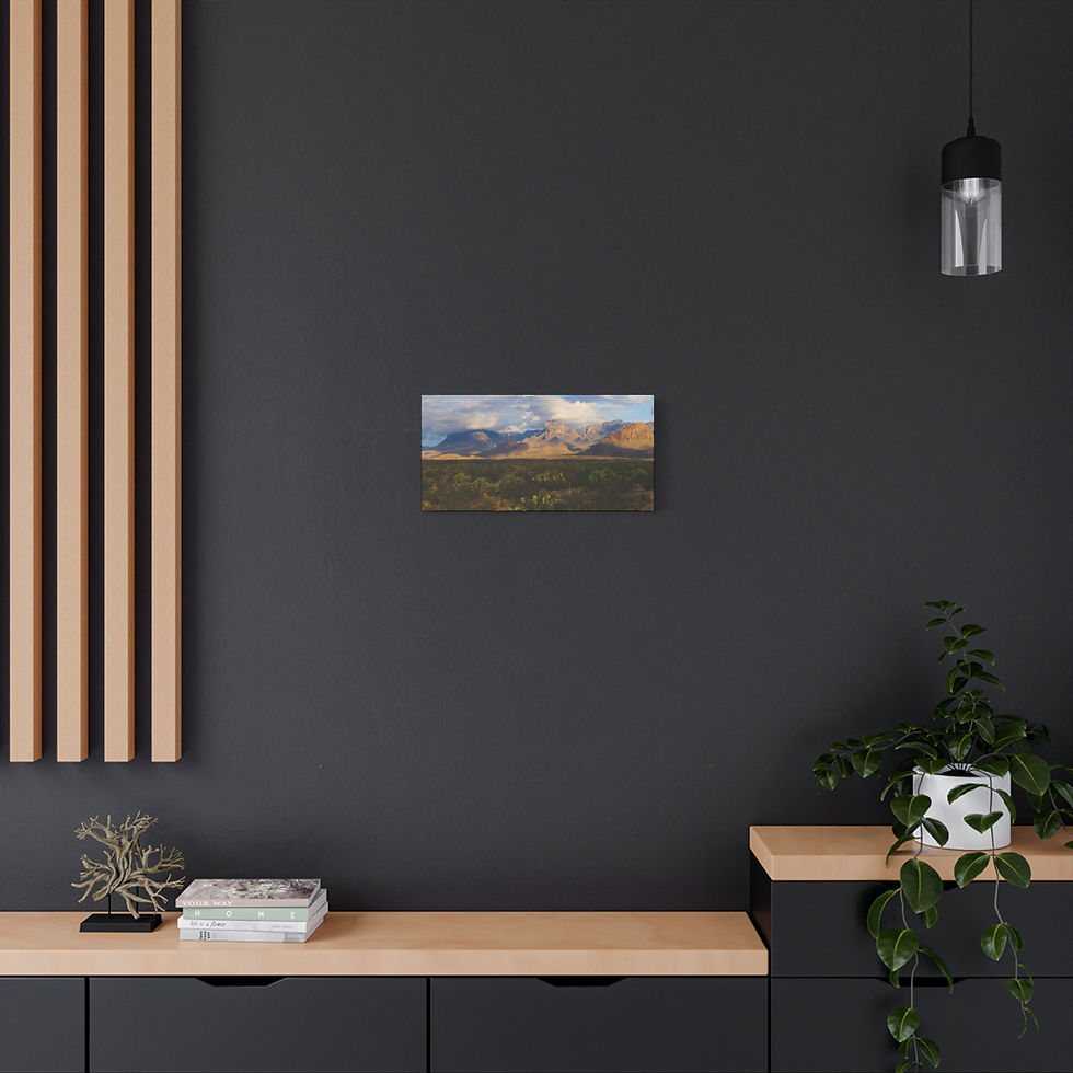 Thumbnail: Panoramic View of Cacti and Mountains, Matte Canvas, Stretched, 1.25"