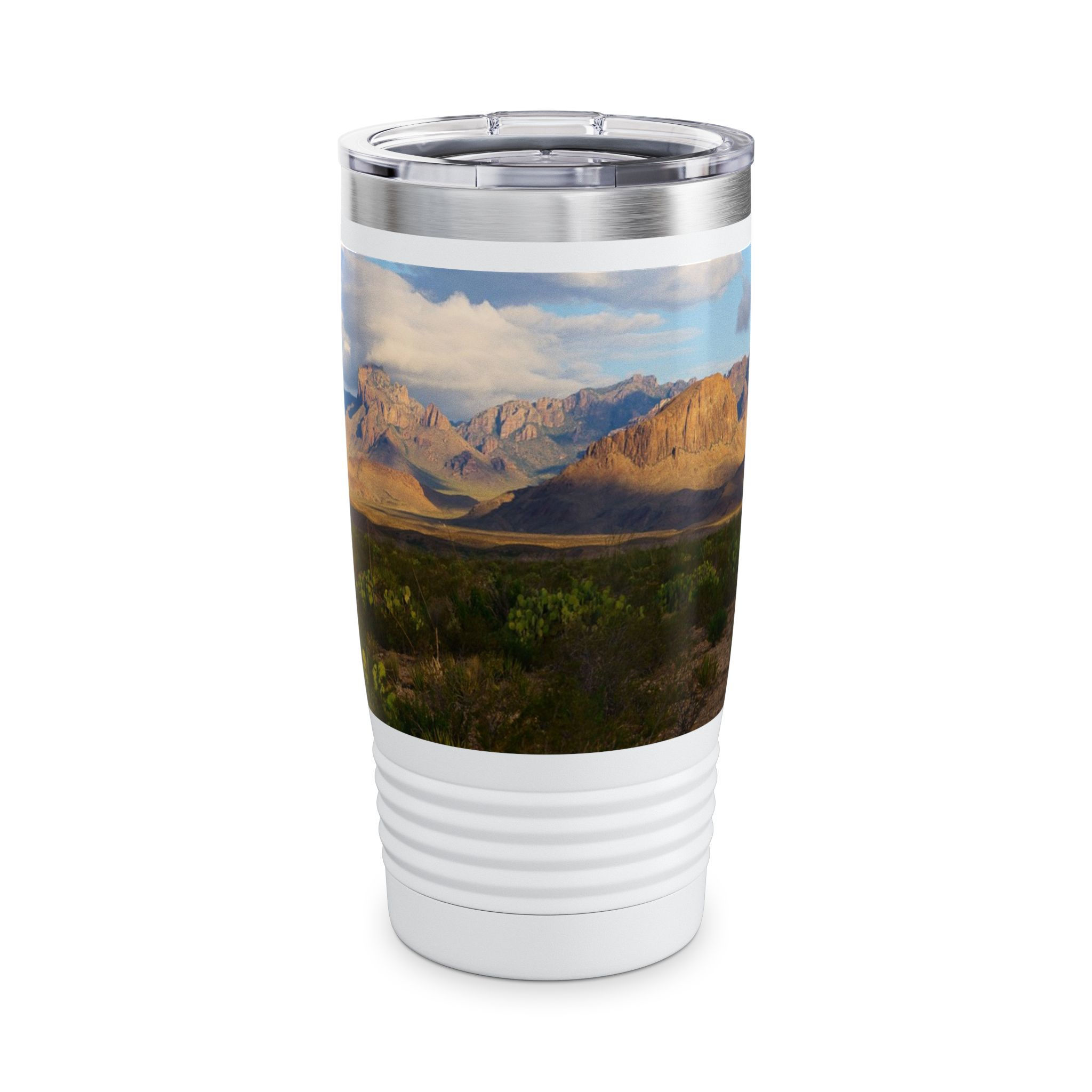Panoramic View of Cacti and Mountains, Ringneck Tumbler, 20oz