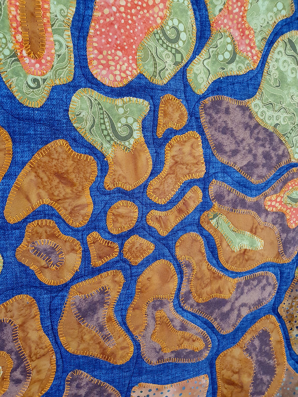 ammonite fossil wall hanging