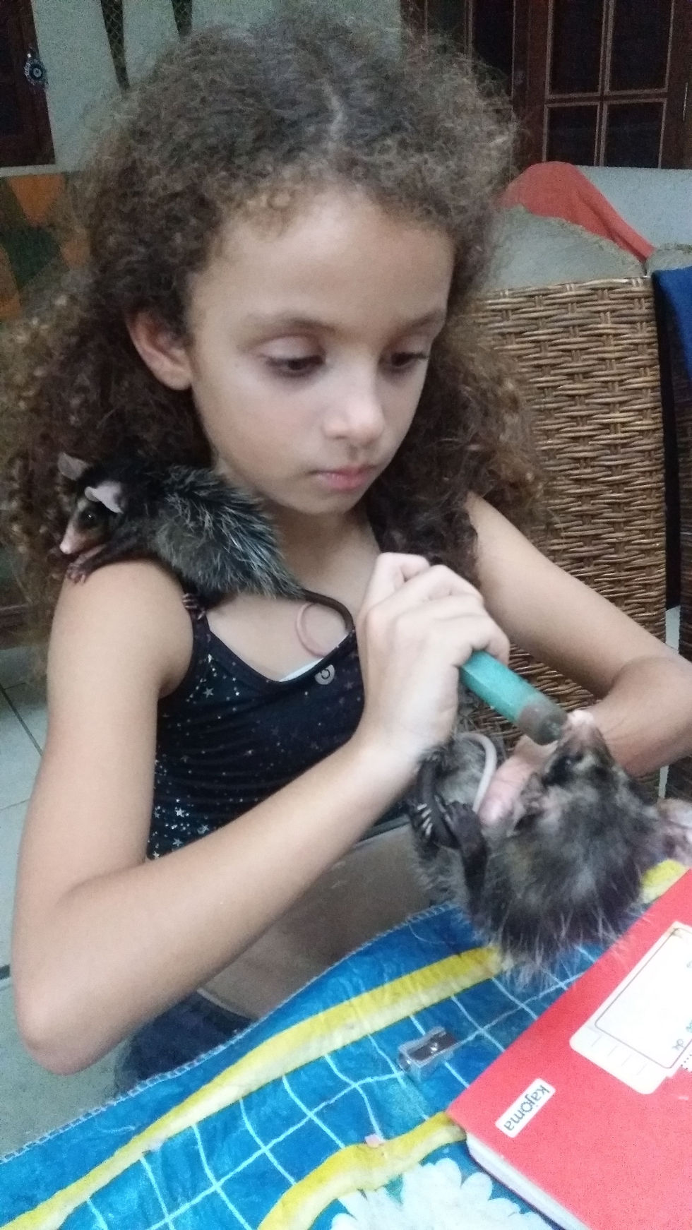 IMG-20190919-WA0089