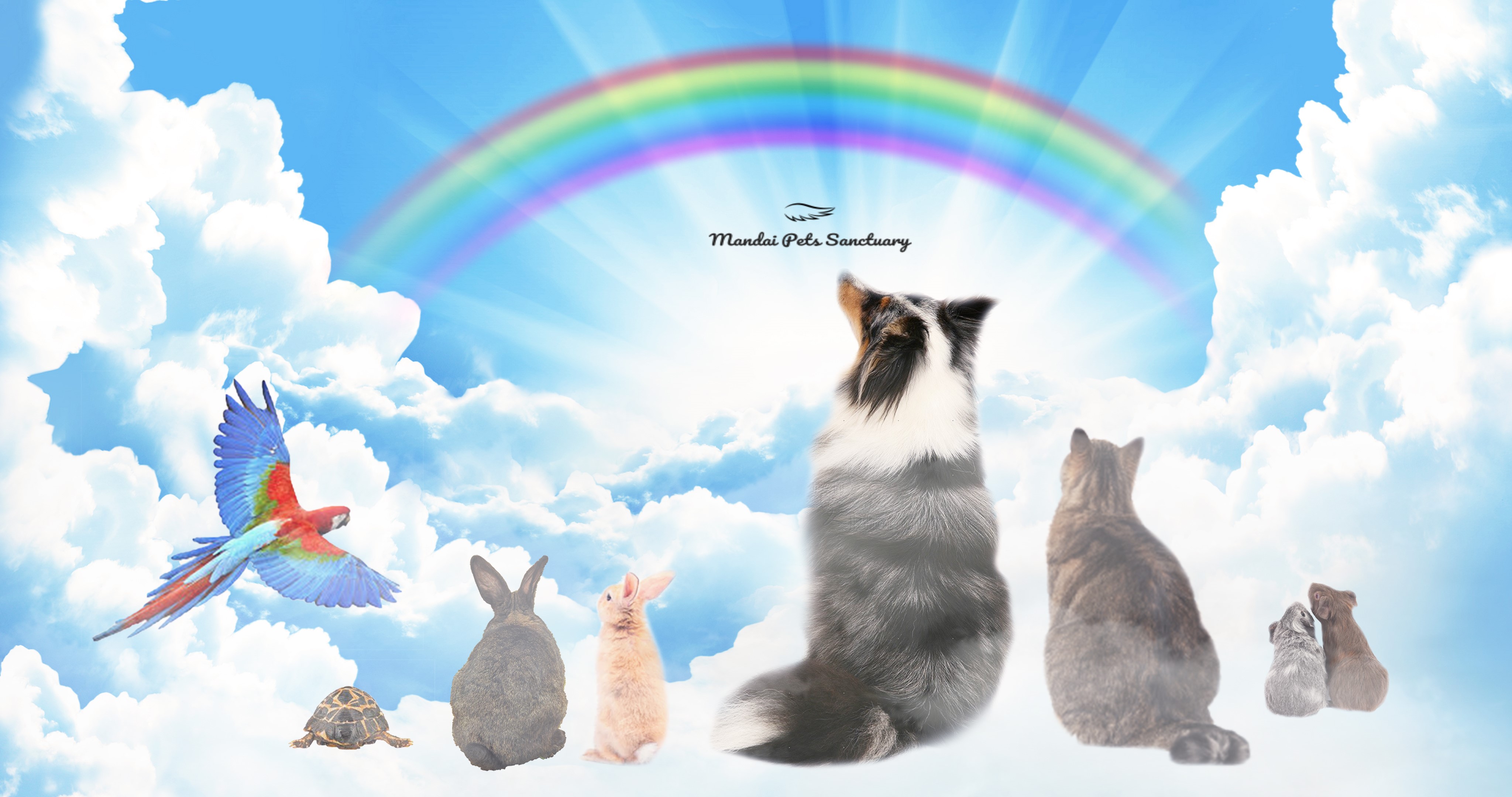 Pet cremation singapore Mandai Pets sanctuary