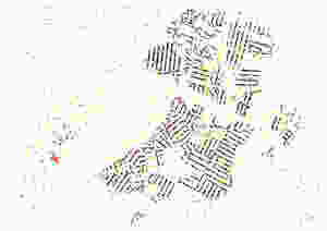 A map showing trees that could potentially be exposed to HLB within 170 m of HLB+ trees.