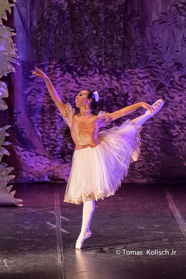 Gala 2015 7