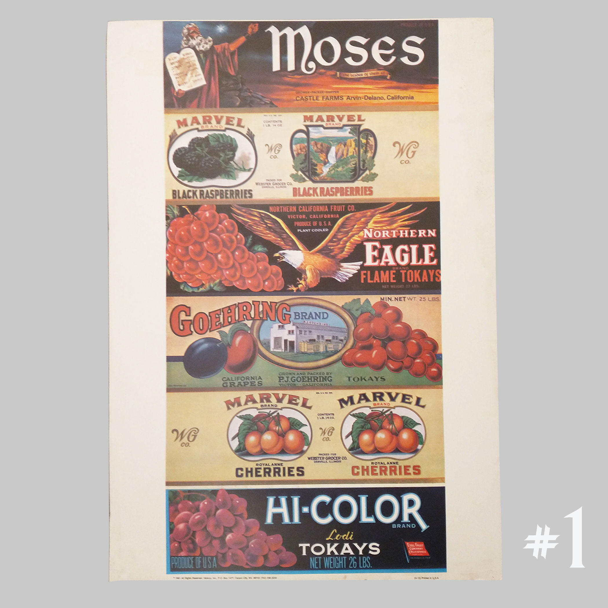 14" x 20" Berry Posters