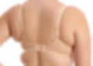 Elomi Bijou Sand Back