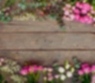 AdobeStock_309692197.jpeg