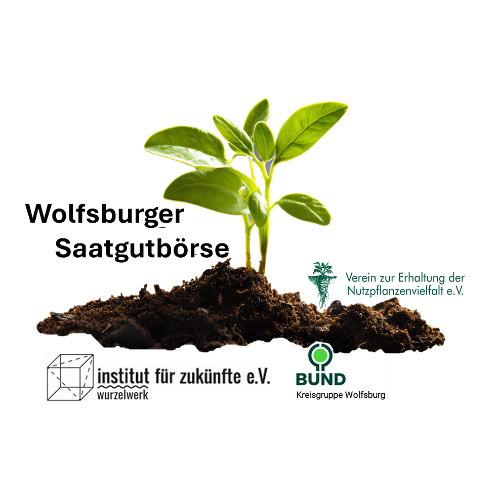 Vielfalt bewahren: Wolfsburger Saatgutbörse lädt zum entdecken ein