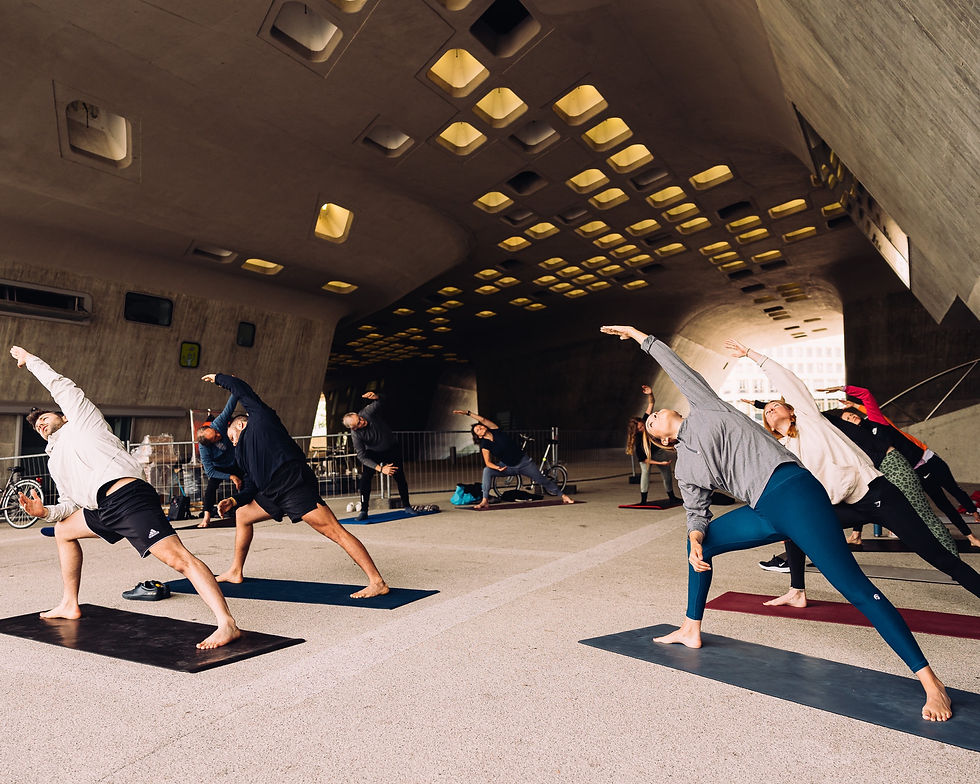 festival | Meditation, Bewegung & Reflektion