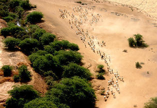 O'a Sénégal Sahel.jpeg