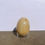 Thumbnail: Yellow Adventurine Egg