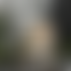 A Shady Spot and Chair