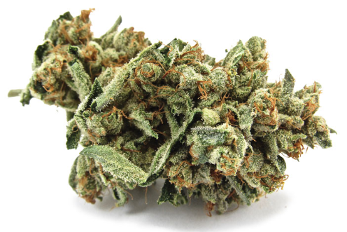 Curaleaf Afghan Kush strain smokable flower