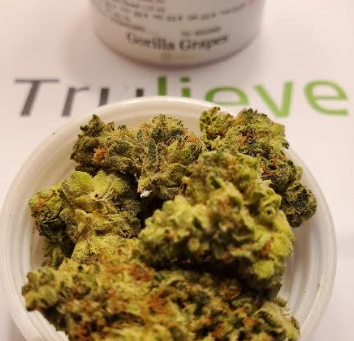 Gorilla Grapes Strain TruFlower Reviews | Trulieve