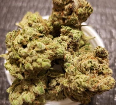 Queso Perro Hybrid Strain – GrowHealthy Flower Reviews