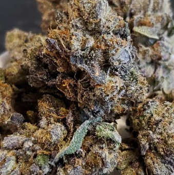 Wookie Girl Indica Strain Review – Grow Healthy Products