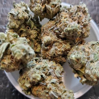 Mint Chip Balanced Hybrid Strain Review – Columbia Care Products