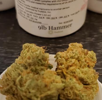 TruFlower 9LB Hammer Strain Review – Trulieve Products