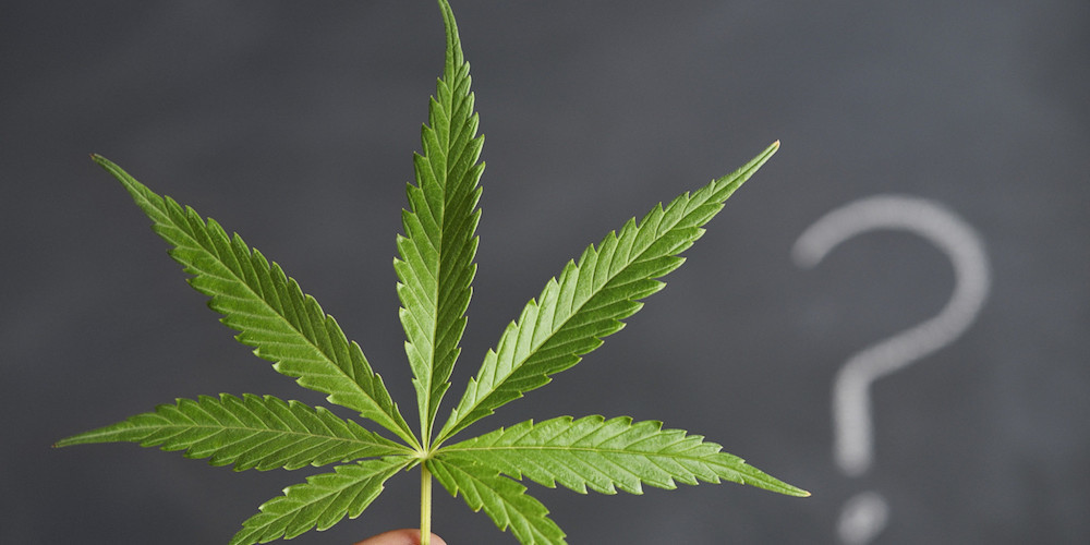 Is Medical Marijuana right for me - Florida