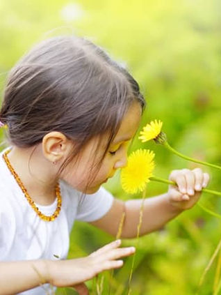 Notas Olfativas: Veja como identificar as das suas fragrâncias
