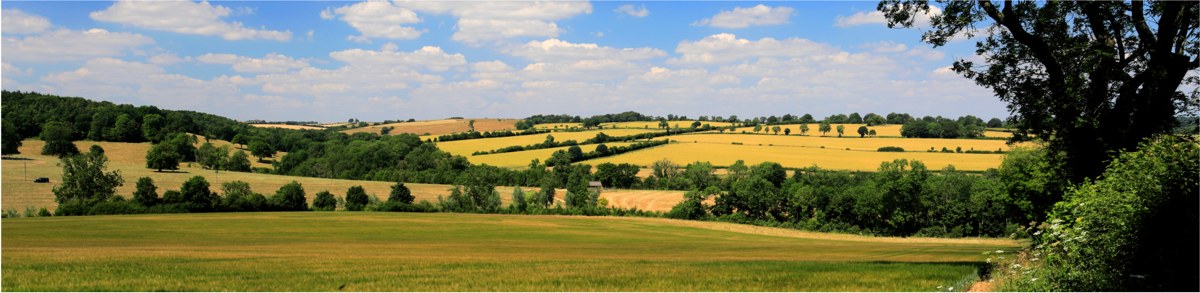 Why Nature Helps Regulate Stress