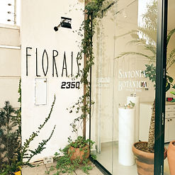 Sintonia Botânica. Terapia Floral. Rua Riachuelo, 2350. Cascavel - Paraná