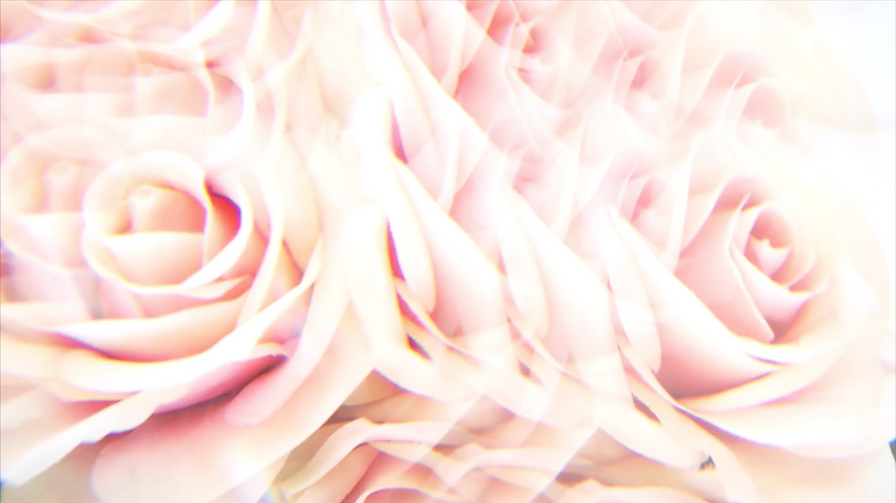 Screen Shot 2019-05-25 at 11.24.35 AM.png