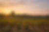 ChatGPT Image 11_03_2026, 22_51_20.png