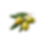 4.png