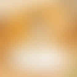 貓咪在貓砂盆裡面