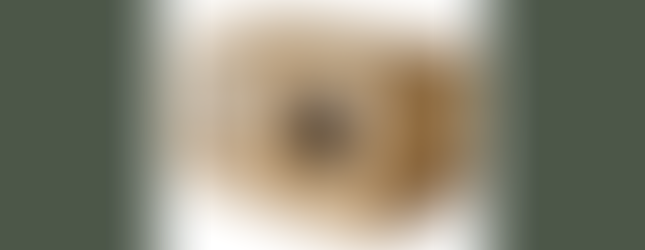 養貓必備7大物品清單-獨立的床鋪