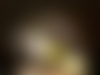 The Influence of Terroir: How Soil and Climate Shape Wine