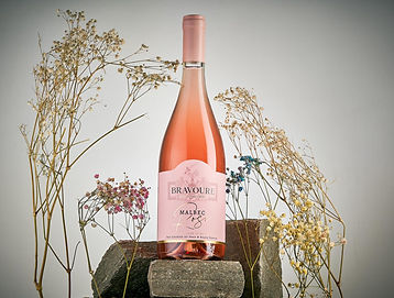 WhatsApp Image 2024-02-27 at 17.49.39 (1).jpeg