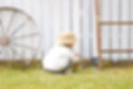 ターフfor Garden06.jpg
