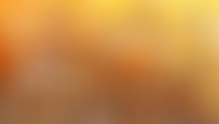 Lessons from the Honey Bees