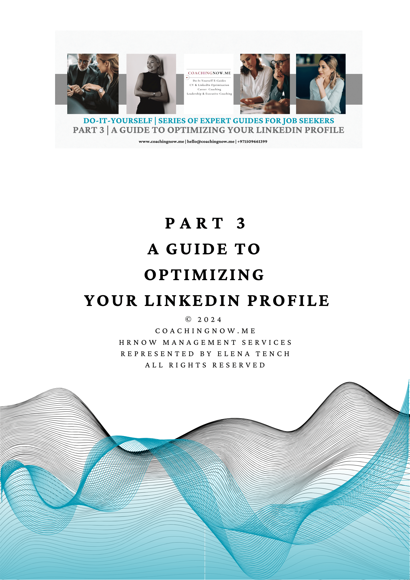 A Guide To Optimizing Your LinkedIn Profile & Networking (79 pages)