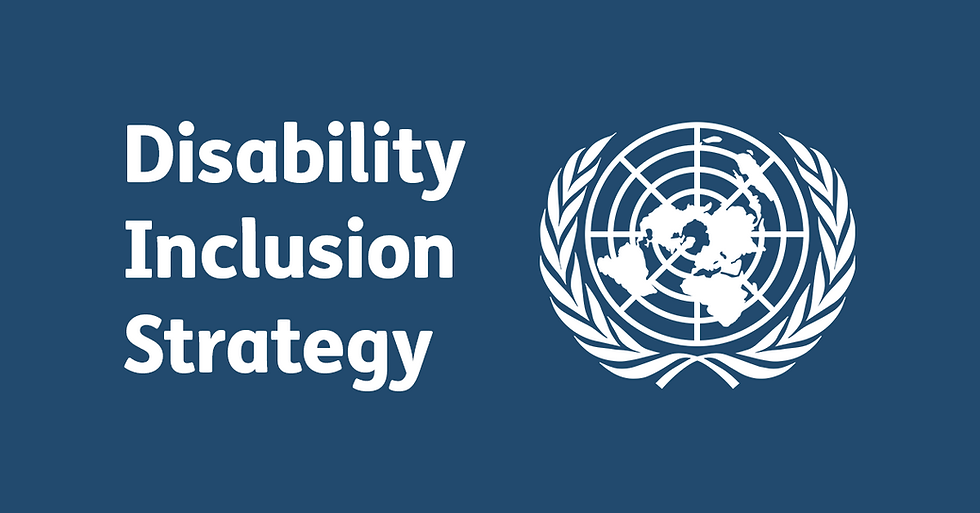 Image features the text 'Disability Inclusion Strategy' alongside the United Nations Logo