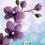 Miniatura: Orquídea