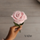 Miniatura: Rosa Thai