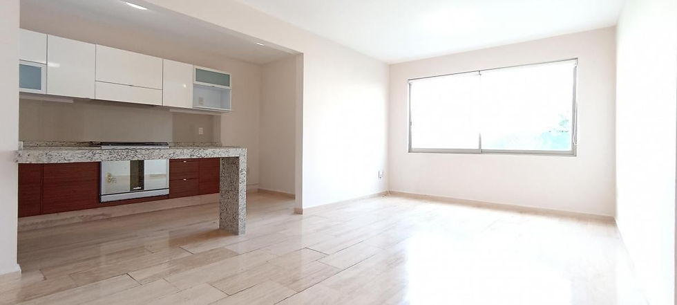 Depto. Luz Saviñón, Narvarte