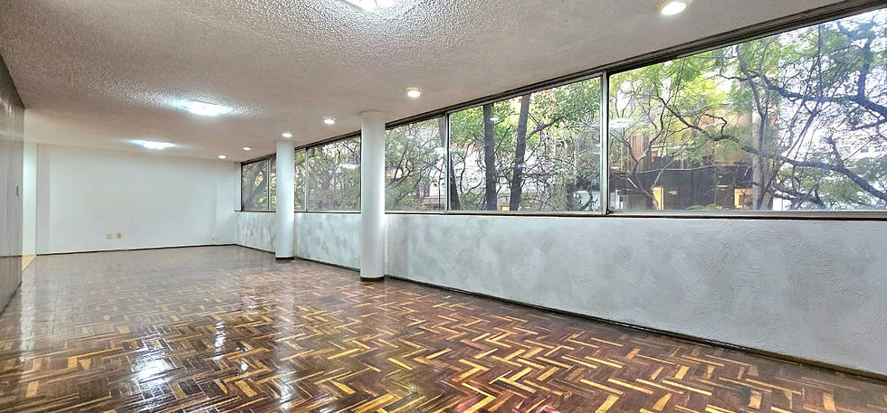 Lope de Vega, Polanco
