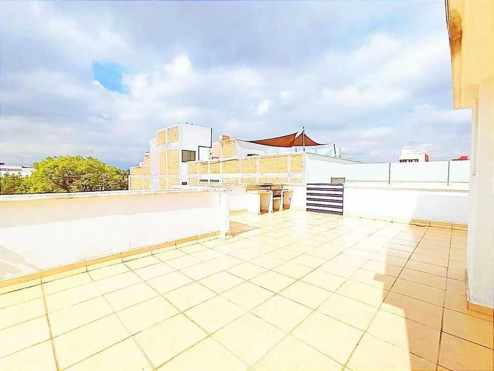Roofgarden cómun