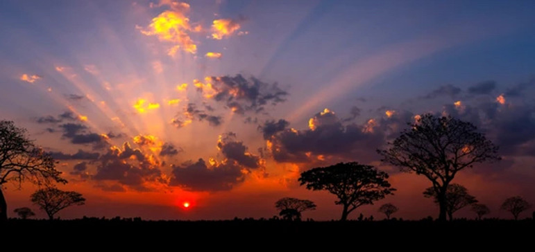 panorama-silhouette-tree-africa-sunsettree-260nw-1933805558_edited.jpg