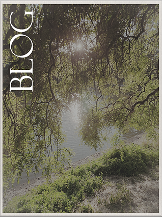 POSTCARDBLOG.png
