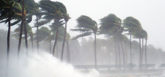 Tormenta tropical