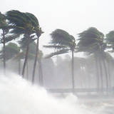 Tropical Storm