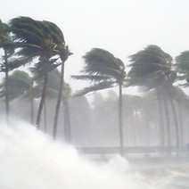 Tropical Storm