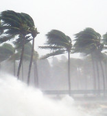 Tropical Storm