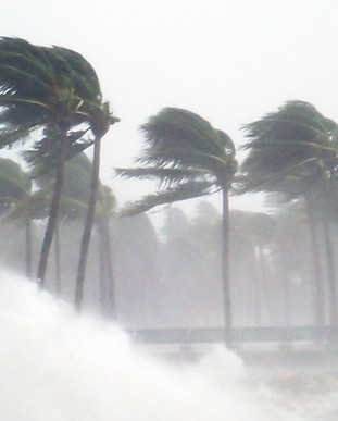 Tropical Storm