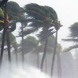 Tropical Storm